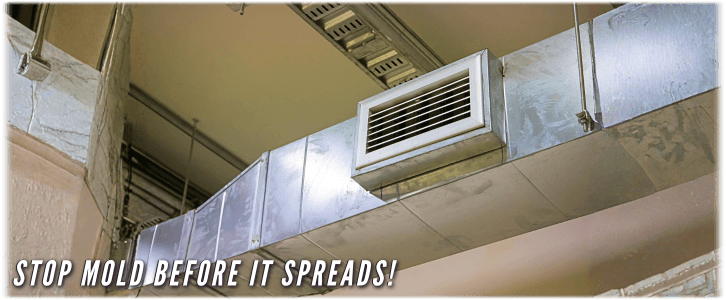 Air Duct Mold Removal in Brooklyn NY